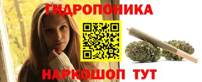 гашик Жуковский
