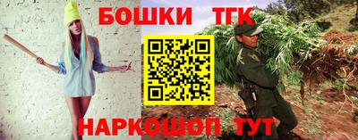 гашик Жуковский