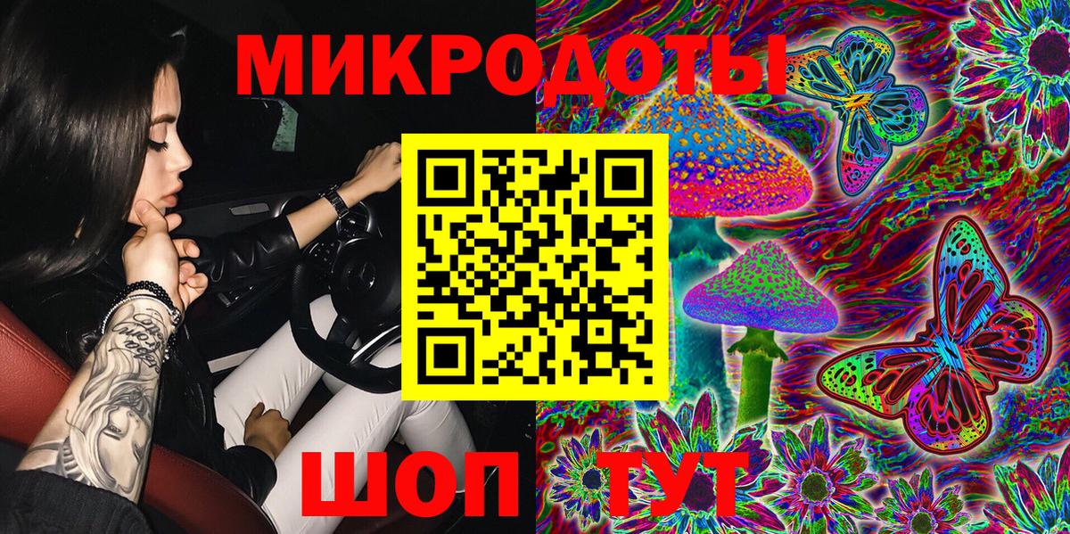 Галлюциногенные грибы Psilocybe Майкоп
