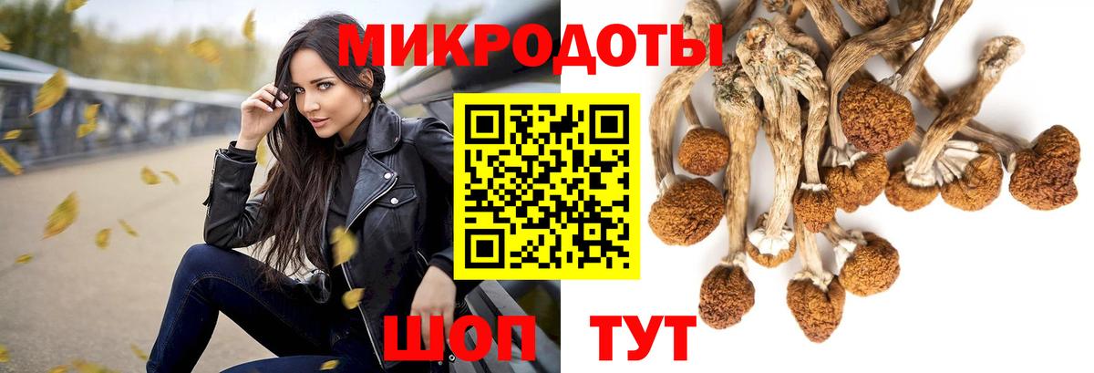 Псилоцибиновые грибы мицелий  Вход с VPN  Майкоп 